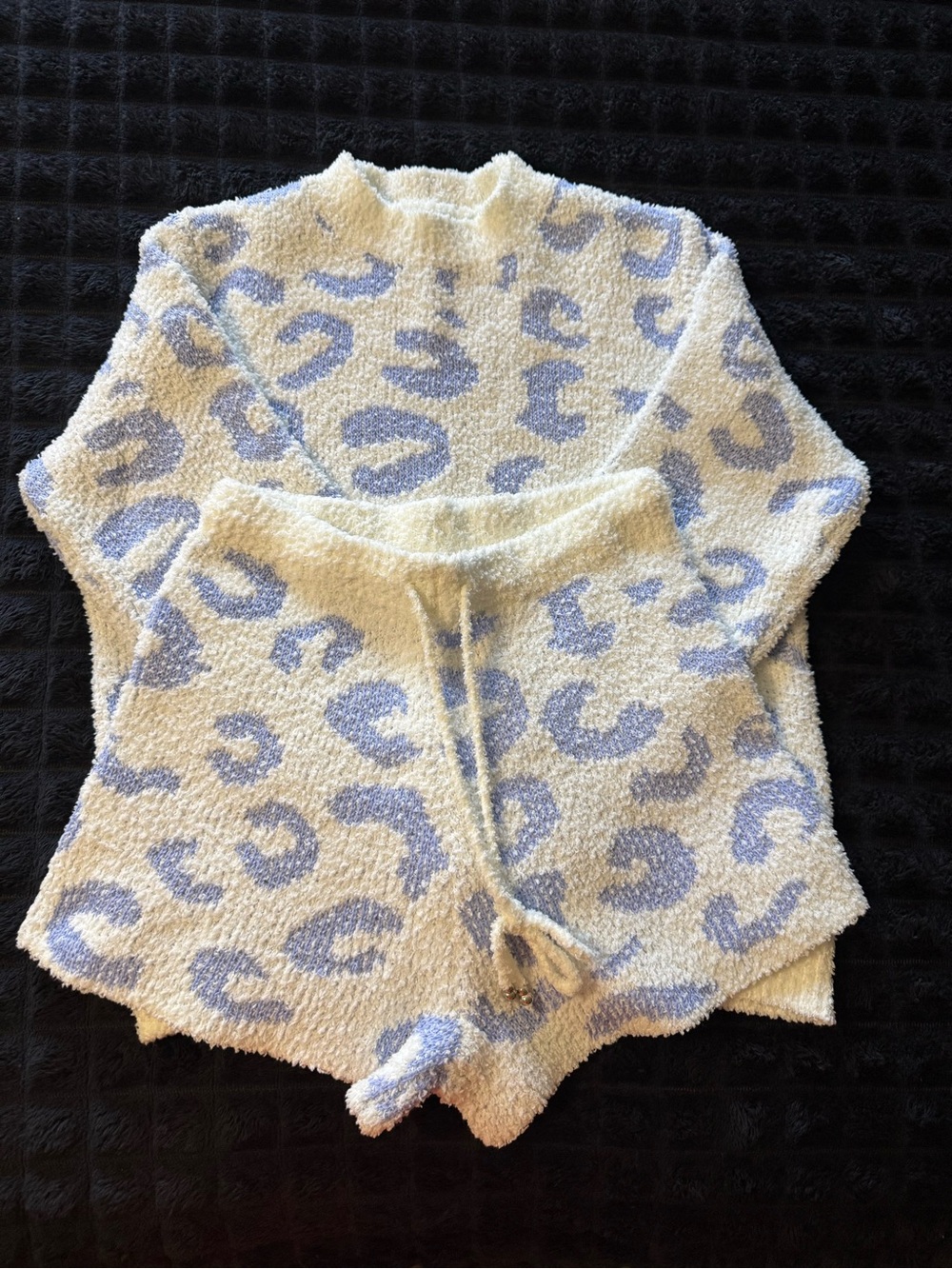 Cozy Cream & Light Blue Leopard Plush Sweater Set